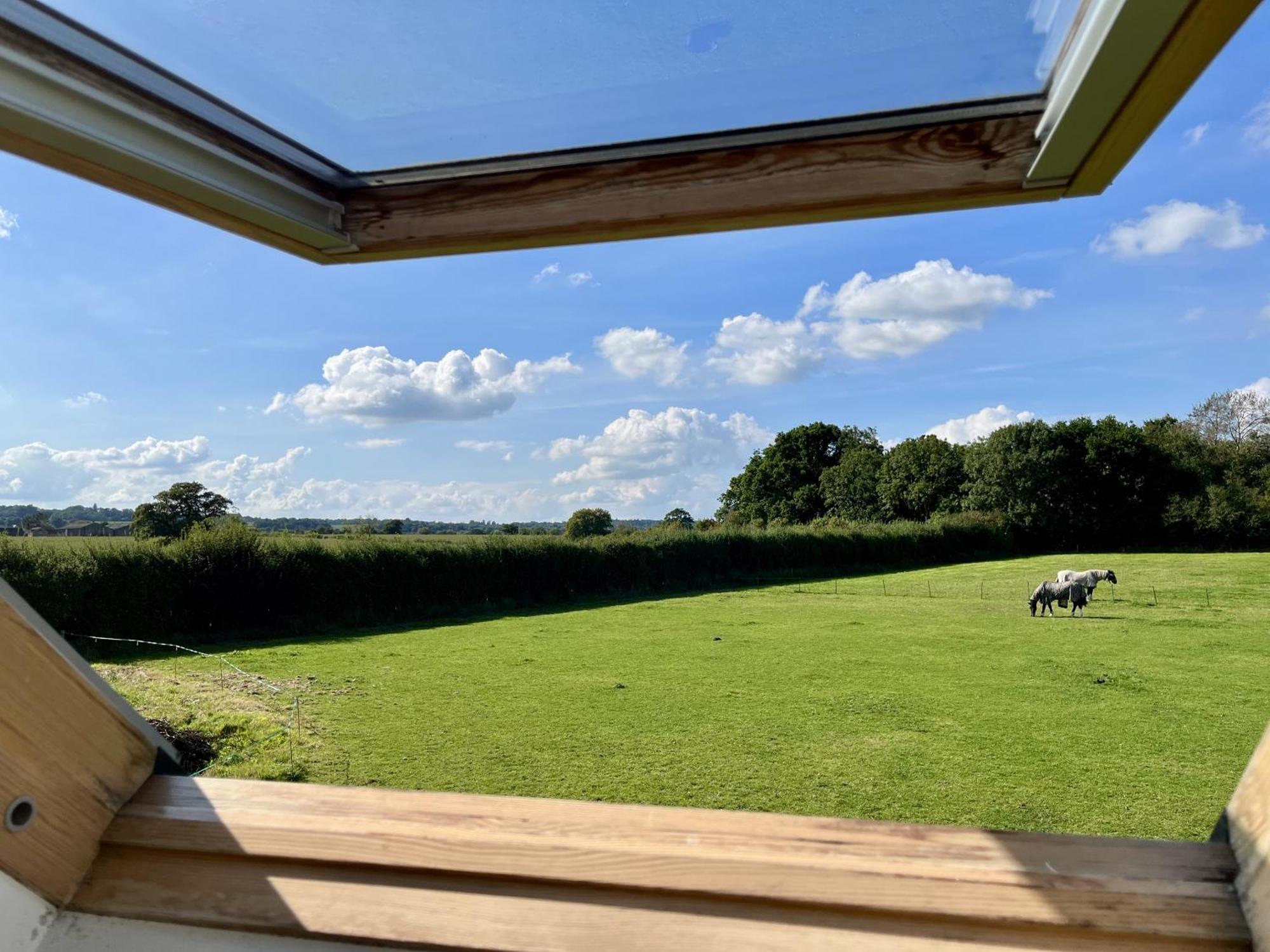 Priors Oak - A Cosy Studio With Countryside Views In Dorset Stalbridge Exteriör bild